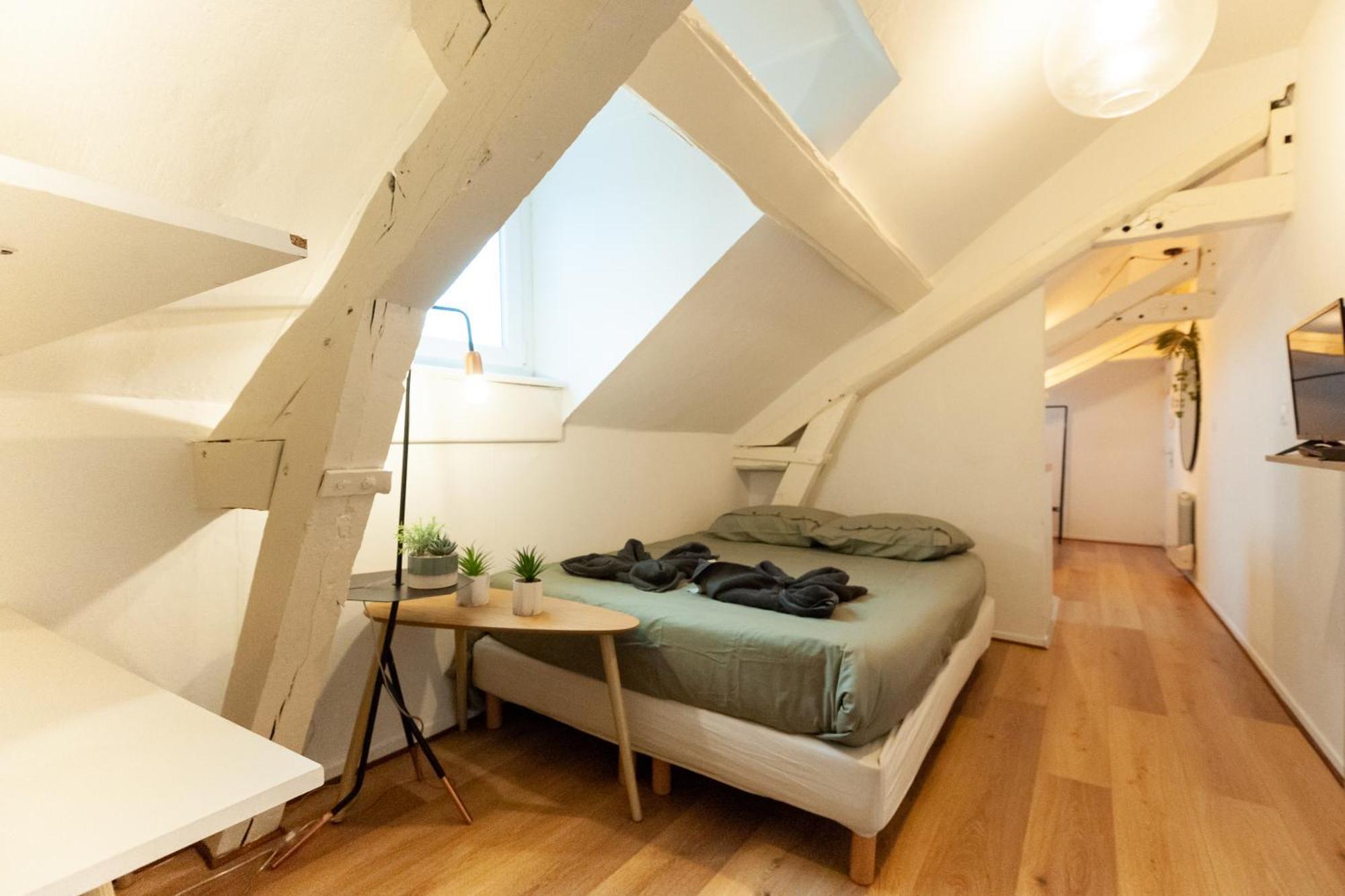 Le Loft - Studio En Hypercentre - Cathedrale أميا المظهر الخارجي الصورة